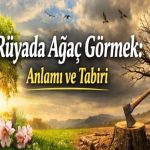 Rüyada ağaç sembolü ve tabirleri