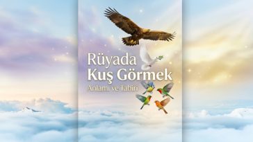 Rüyada kuş görmek ile ilgili tabir ve semboller