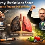 Sigarayı bıraktıktan sonra vücutta yaşanan değişimler nelerdir?