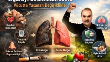 Sigarayı bıraktıktan sonra vücutta yaşanan değişimler nelerdir?
